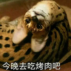 ao_jie's Avatar'