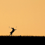 Maxypooo999's Avatar'