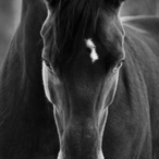 devlations's Avatar'