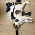 sweet.cat.'s Avatar'