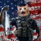 ToFat2Carry's Avatar'
