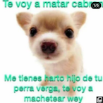 Lxldxmnxxx's Avatar'