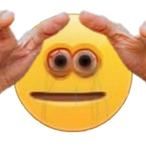 monkeycoIIector's Avatar'