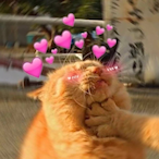 AAAAJin001's Avatar'