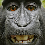 Bank.I's Avatar'