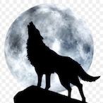 LoneWolfAranda's Avatar'