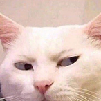JHulselZwans's Avatar'
