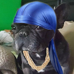 ratpatt's Avatar'