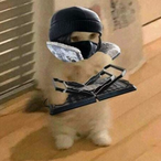 xInFaMous_98's Avatar'