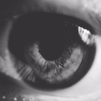 nGramble's Avatar'