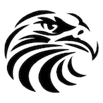 ChaoHawk's Avatar'