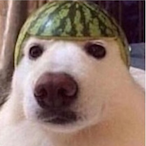 zeteckw's Avatar'