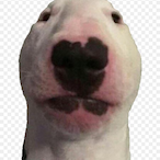 PabIo_.'s Avatar'