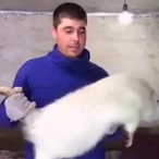 ChippedWood's Avatar'