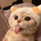 TaizaizhiQAQ's Avatar'