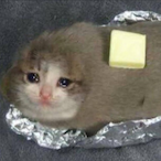 jamaicanpack's Avatar'