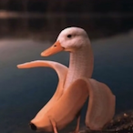 ducks_gae's Avatar'