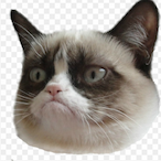 xqvii gvnzz's Avatar'