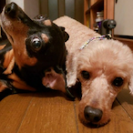 matakou-MK's Avatar'