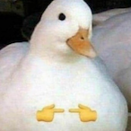 ElAnimal_'s Avatar'