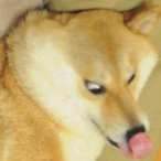 imdaGoat1025's Avatar'