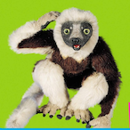 Wikwas.'s Avatar'