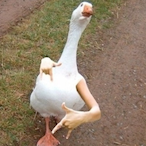 EdgemereQueer's Avatar'