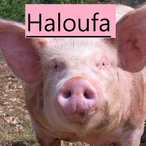 UnvrtSoprano's Avatar'