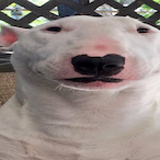 juggwalklol's Avatar'