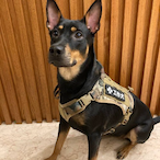 furusmc's Avatar'