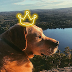 Pluto.sako's Avatar'