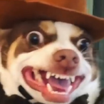 DaRealMikael's Avatar'