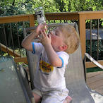 Bird_is_Fake's Avatar'