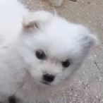 temp-14497304's Avatar'