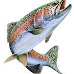 Fisherguy.OBL's Avatar'