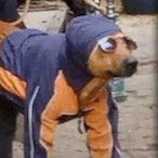 RULTORRESBB8's Avatar'