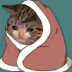 xggcjgf579's Avatar'