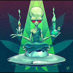 That1Hippie7129's Avatar'