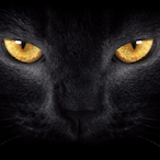 KnownzFather's Avatar'