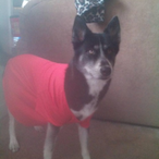 switchaaaa's Avatar'