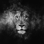 General_Abood3's Avatar'