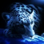 Kocuracle's Avatar'