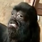 LiteralGoat's Avatar'