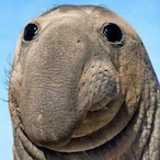 ItsThatOclock's Avatar'