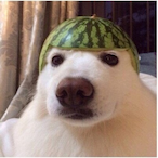 Jip789's Avatar'