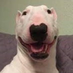 MyNameIsTim69's Avatar'