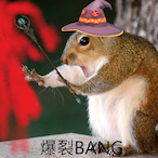 POIveryNoob's Avatar'