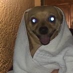 Dinkleberg.'s Avatar'