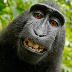 scratchin_swingz's Avatar'