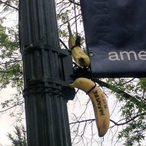 Mizterfizter's Avatar'